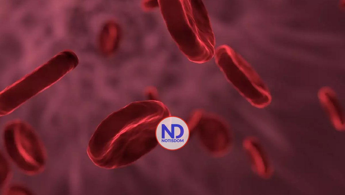 Día Mundial de la hemofilia, la enfermedad hereditaria que más afecta a los hombres