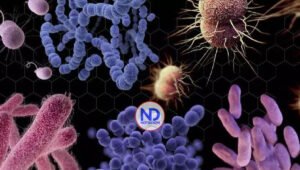 La OMS aprueba resolución para movilizar al mundo ante la resistencia a los antibióticos