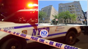 Exconvicto dominicano mata a su madre a golpes en El Bronx