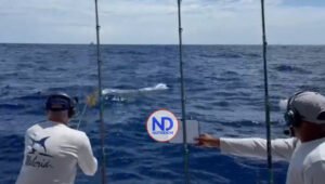 Arranca Pesca al Marlin Blanco; equipo Plaza San Juan es el líder