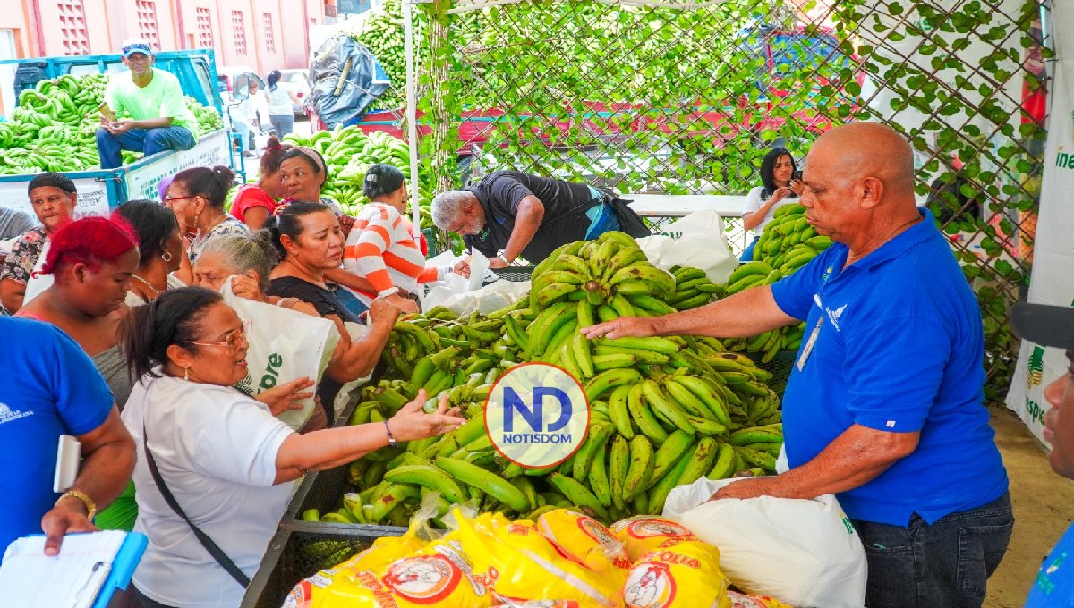 Compran 14 millones plátanos a productores afectados por lluvias