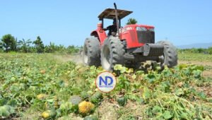 Gobierno asegura RD goza de excelente campo productivo