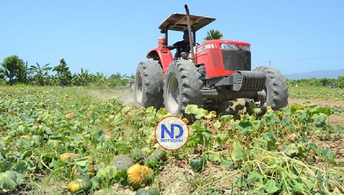 Gobierno asegura RD goza de excelente campo productivo
