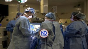 Fallece el paciente que recibió el primer trasplante riñón de cerdo