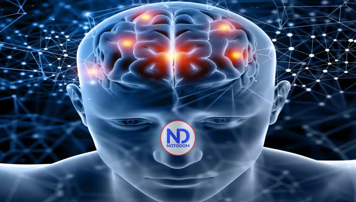 Epilepsia: la lucha contra la refractariedad al tratamiento médico