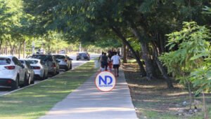 Alcaldía DN cancela 2 empleados por tala de árboles en Mirador Sur