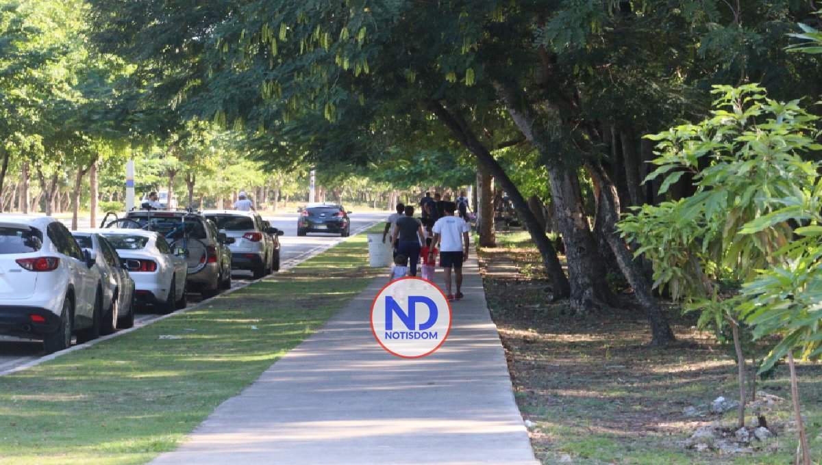 Alcaldía DN cancela 2 empleados por tala de árboles en Mirador Sur