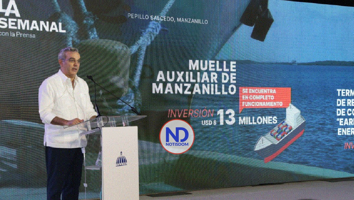 Presidente: Beryl hubiese creado situación energética crítica en RD