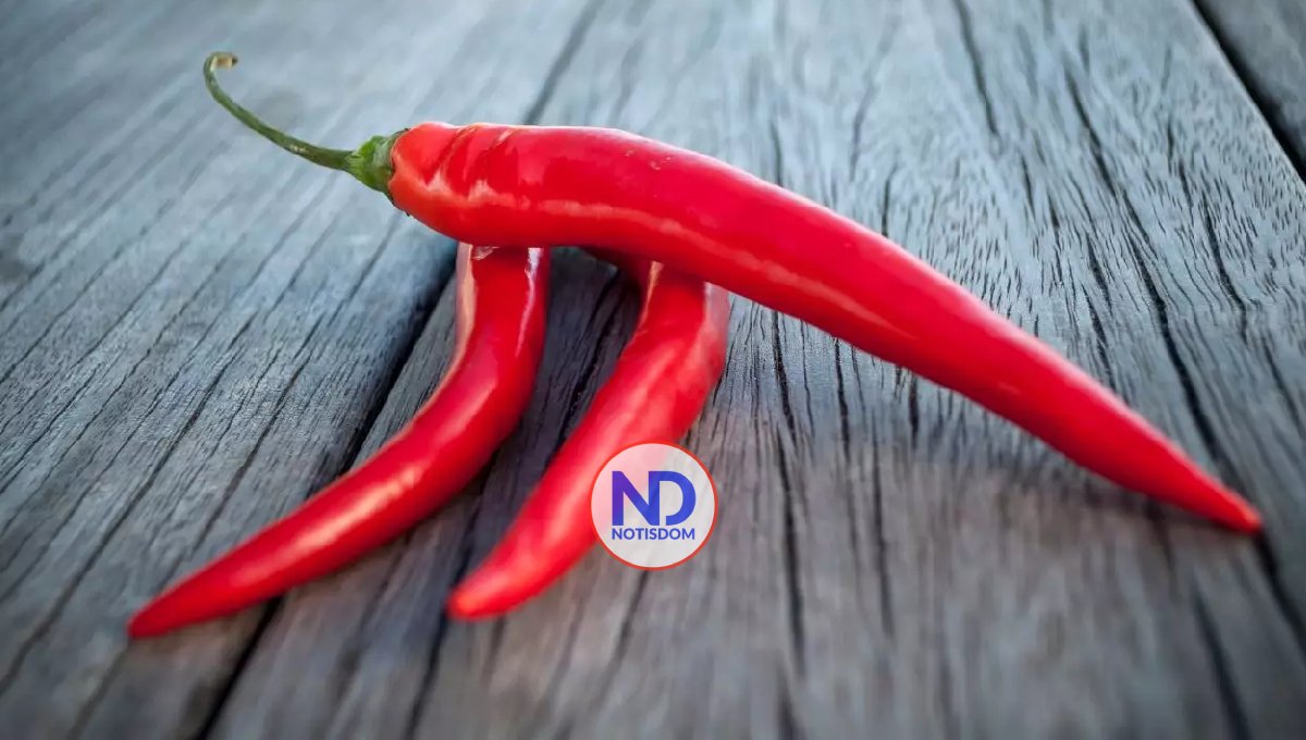 Chiles picantes podrían alargar la vida, según investigadores de Harvard 2 Chiles picantes podrían alargar la vida, según investigadores de Harvard