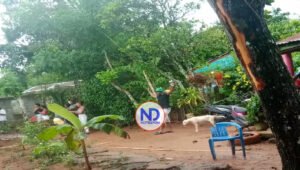 Fallece niño de 13 años al ser alcanzado por un rayo en Yamasá