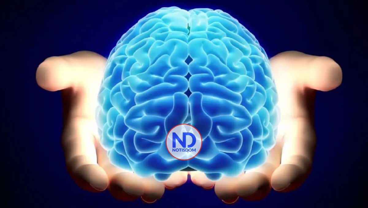 Día Mundial del Cerebro