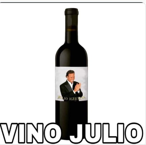 MEME DE JULIO IGLESIAS 3 Con julio arrancan los memes que nos ¡tienen hartos!