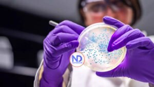 OPS emite alerta epidemiológica por virus de Oropouche