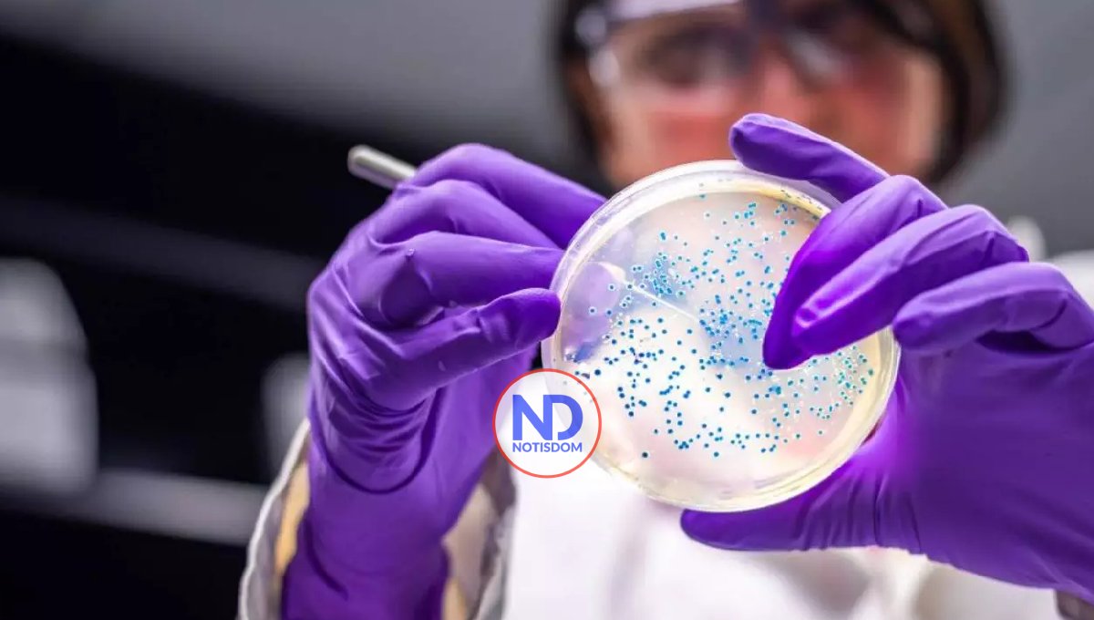 OPS emite alerta epidemiológica por virus de Oropouche