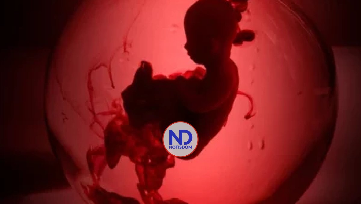 Doctora Liliam Fondeur aborda el tema del aborto y las tres causales