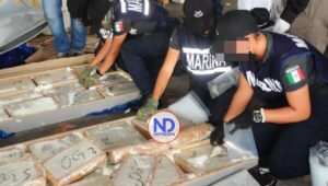 Detectan 7 toneladas marihuana cuyo destino era RD