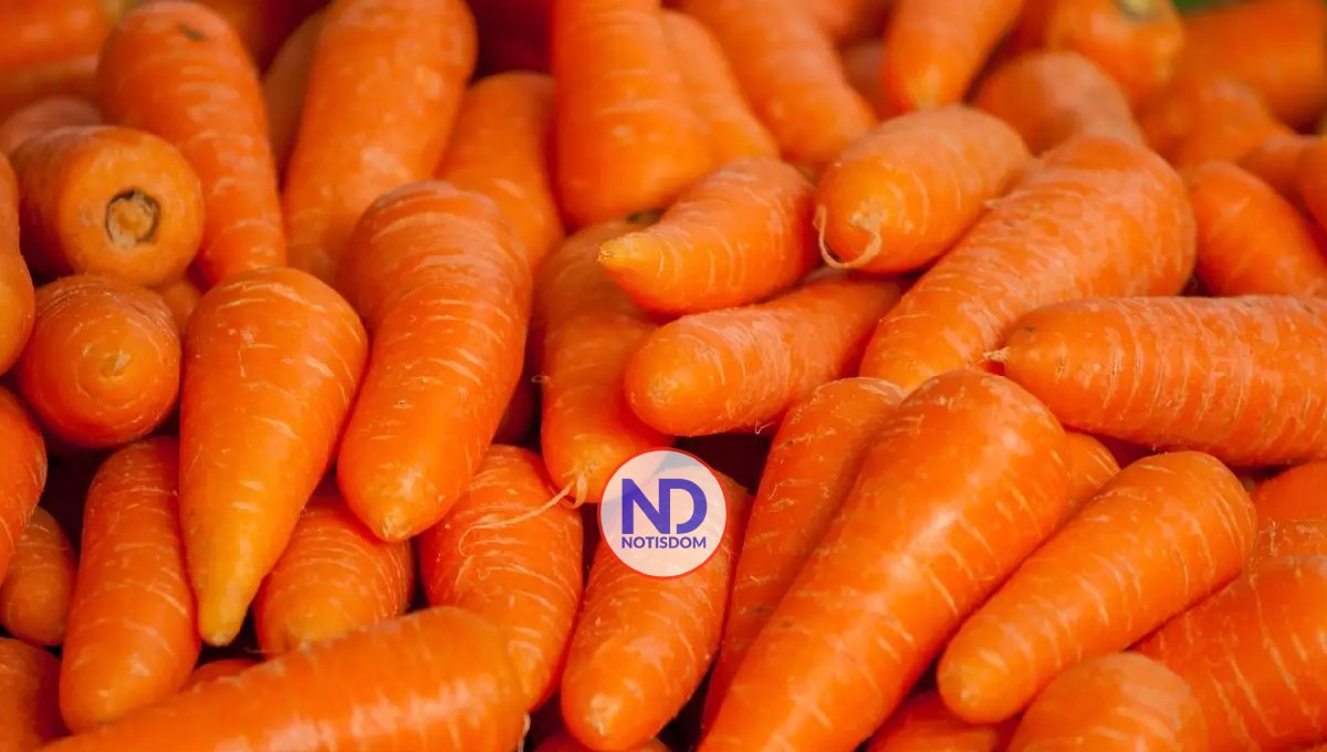 zanahorias