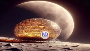 Científicos proponen Arca de Noé en la Luna para salvar la biodiversidad de la Tierra