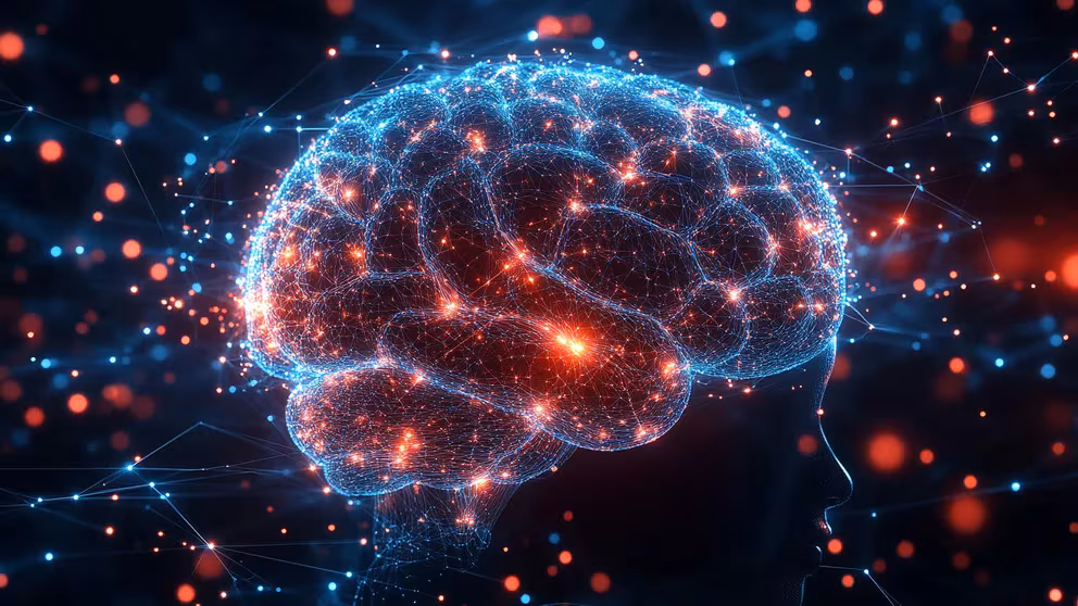 CEREBRO 18 Cuál es la dieta que reduce el riesgo de demencia, según un nuevo estudio