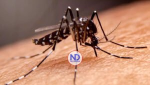 Salud Pública informa no se han reportado nuevos casos de dengue en la semana 31