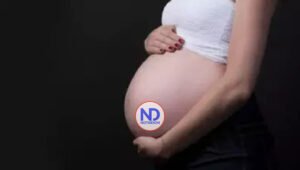 La inseminación, un método de reproducción asistida