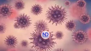 OMS pide ampliar la investigación de patógenos que pueden causar nuevas pandemias