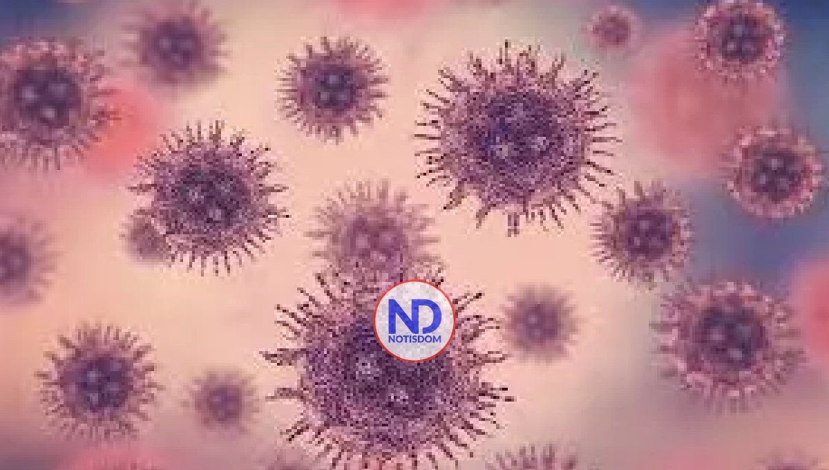 OMS pide ampliar la investigación de patógenos que pueden causar nuevas pandemias 2 OMS pide ampliar la investigación de patógenos que pueden causar nuevas pandemias