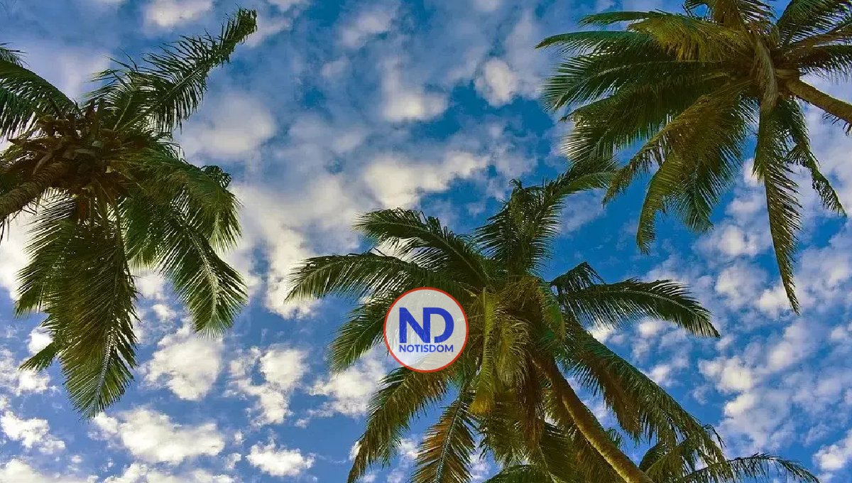 Onda tropical sobre Haití provocará lluvias; temperaturas calurosas para hoy
