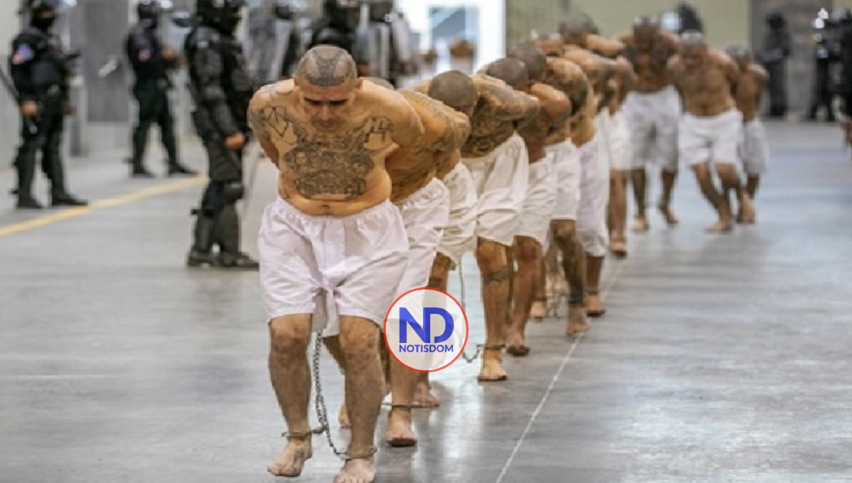 Condenan a más de 300 años de prisión pandilleros en El Salvador 2 Condenan a más de 300 años de prisión pandilleros en El Salvador