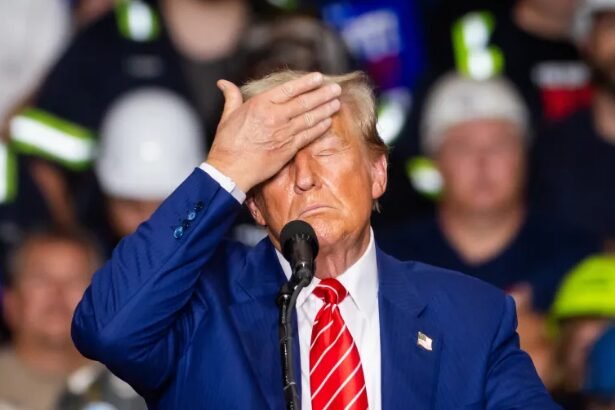 Trump 158 Harris borra ventaja de Trump en estados clave para las elecciones