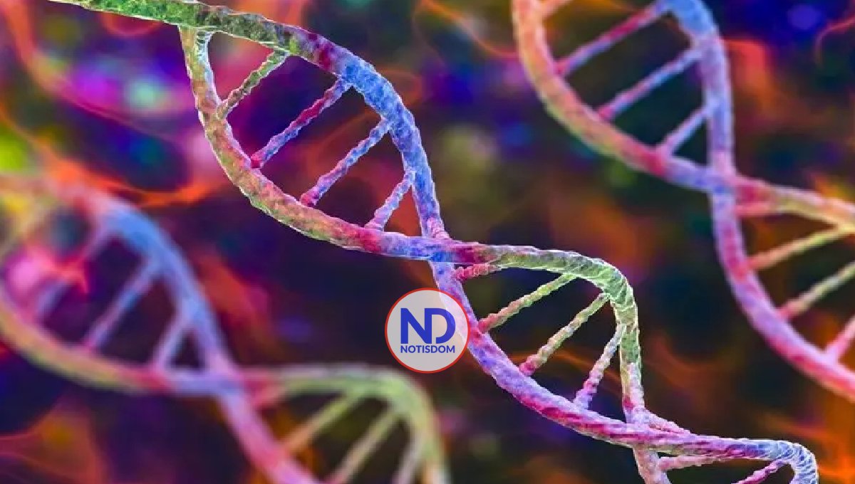 Un algoritmo puede predecir los mejores tratamientos para trastornos genéticos y cáncer