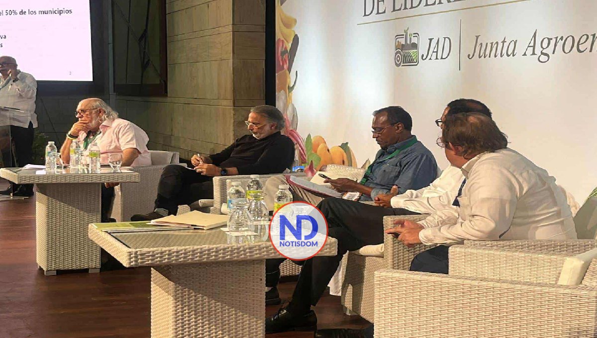 Los precios de los alimentos en RD se han elevado hasta 80 % en la última década