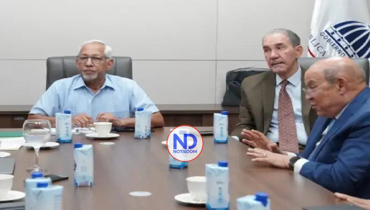 El Minerd hará consulta para Plan Horizonte