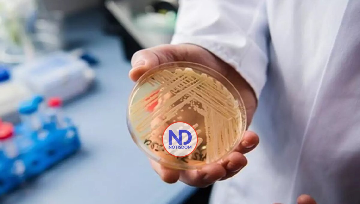 Los científicos alertan ante la amenaza mundial de las enfermedades causadas por hongos