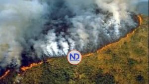 Perú declara estado emergencia en regiones afectadas por fuegos