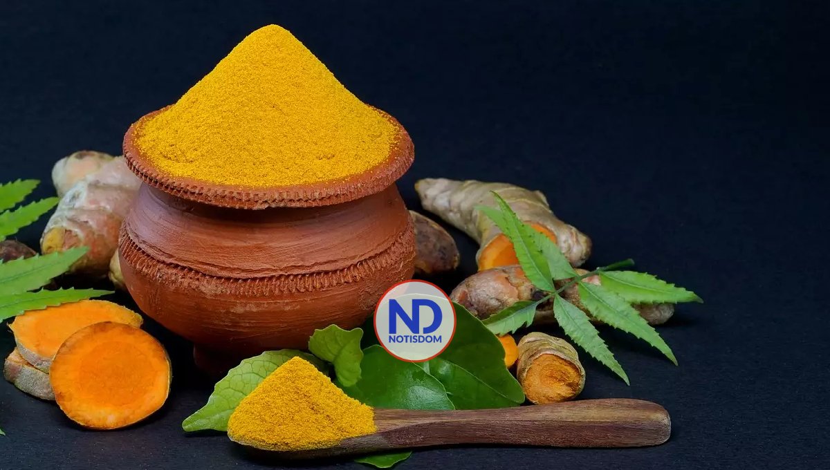 Cuáles son los efectos del consumo de la cúrcuma sobre el cerebro y la memoria