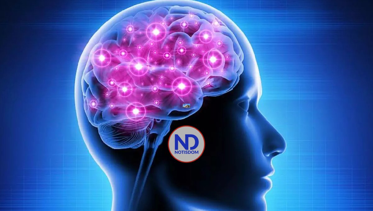 La depresión puede estar asociada a la existencia de una red neuronal aumentada