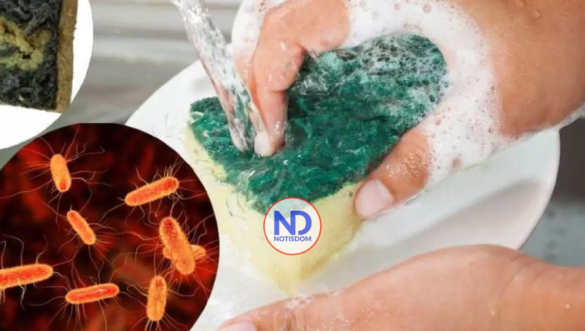 ¿Por qué no debes poner detergente en la esponja de fregar?