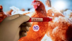 Detectan primer caso de gripe aviar sin contacto con animales en EE.UU.