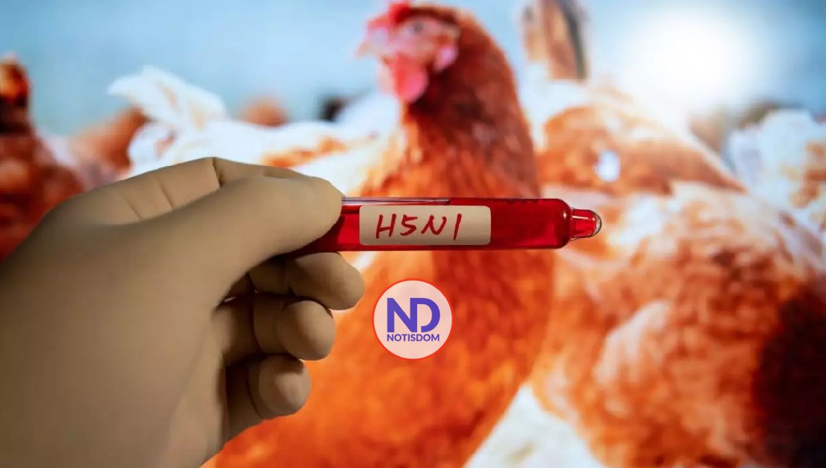 Detectan primer caso de gripe aviar sin contacto con animales en EE.UU.