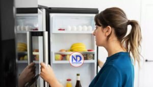 Cada cuánto tiempo se recomienda cambiar la nevera, lavadora y televisor