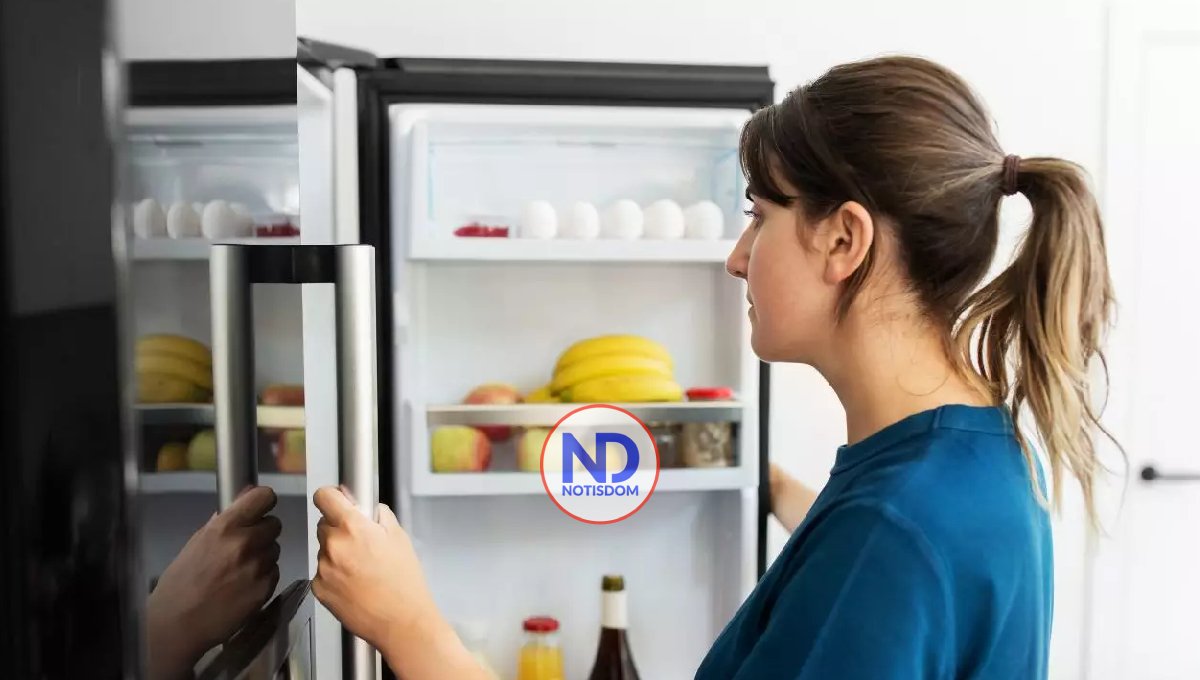 Cada cuánto tiempo se recomienda cambiar la nevera, lavadora y televisor