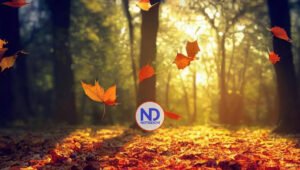 Hoy inicia el otoño en el hemisferio norte; pronostican aguaceros en varias provincias