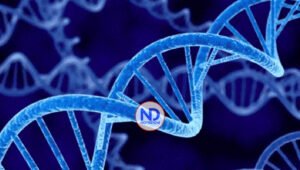 Revelan que la herencia genética influye en los efectos adversos que producen los fármacos