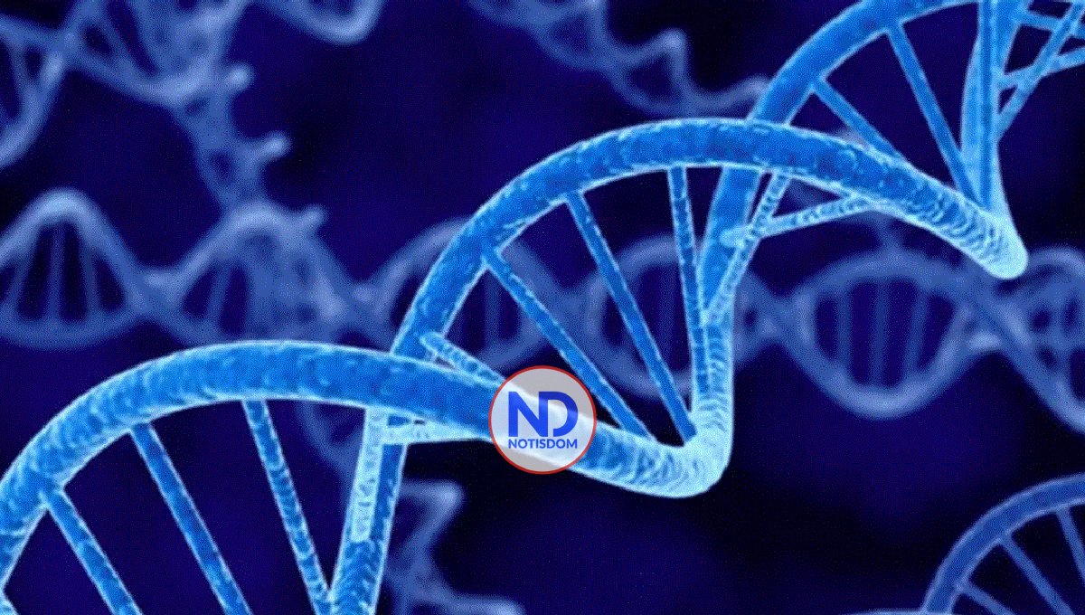 Revelan que la herencia genética influye en los efectos adversos que producen los fármacos