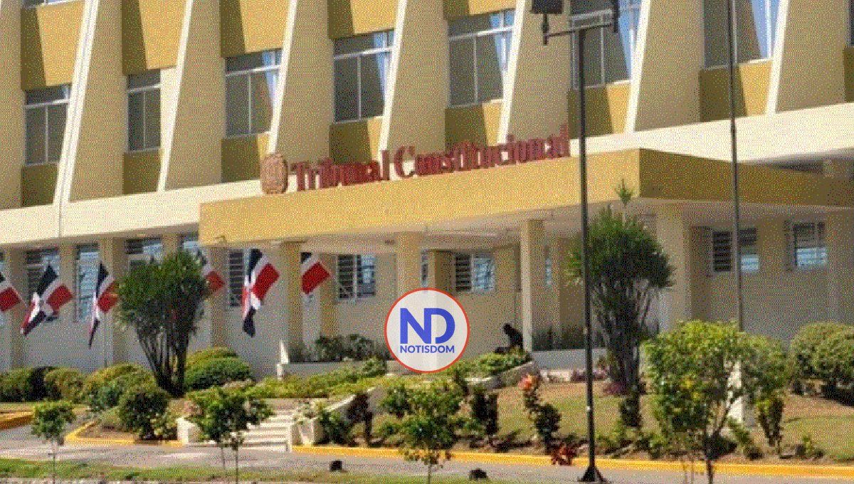 Presentan acción ante el TC para frenar la reforma constitucional