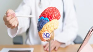 Cómo prevenir un accidente cerebrovascular en personas con Diabetes Tipo 2