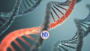 La genética puede tener más influencia en la longevidad que la restricción dietética