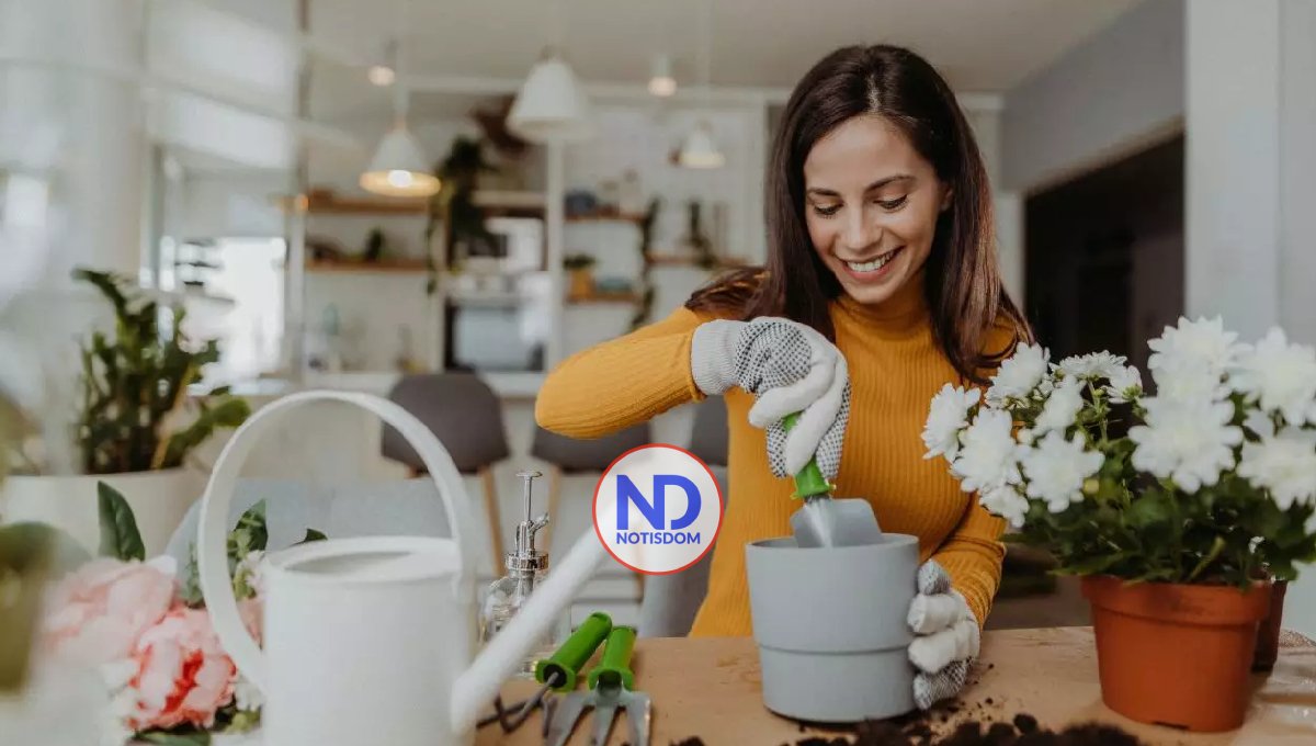 Por qué tener un pasatiempo puede mejorar la salud física y mental