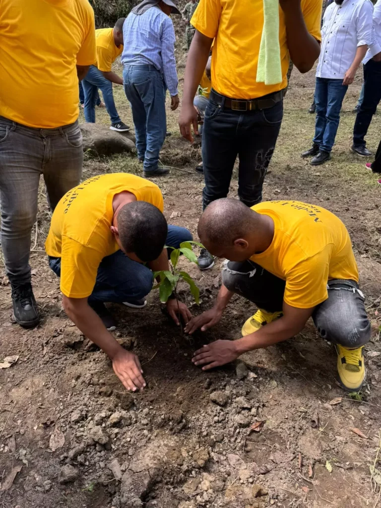 Realizan reforestación con privados de libertad en la cuenca del Río Nizao 3 presos 1 Realizan reforestación con privados de libertad en la cuenca del Río Nizao